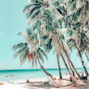 Meet your Posher, Hailey